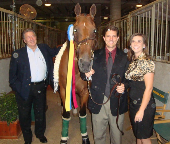 WC Where Are We Now - 2009 World Champion Road Horse Under Saddle  